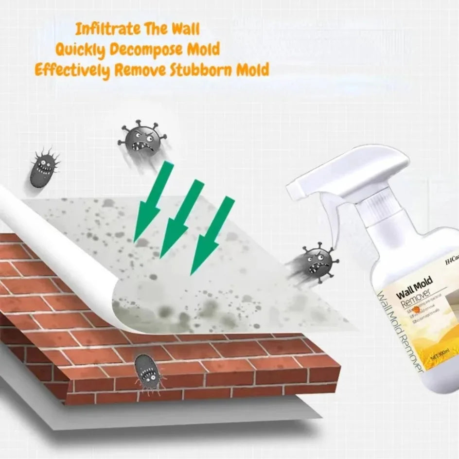Mould Remover Spray