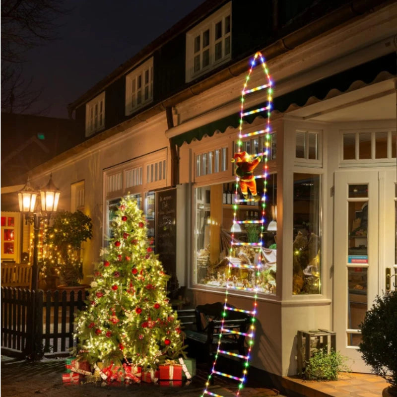 Santa Climbing Ladder