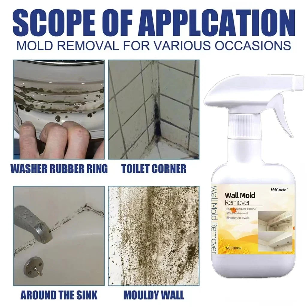 Mould Remover Spray