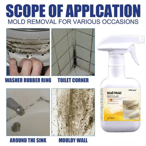 Mould Remover Spray