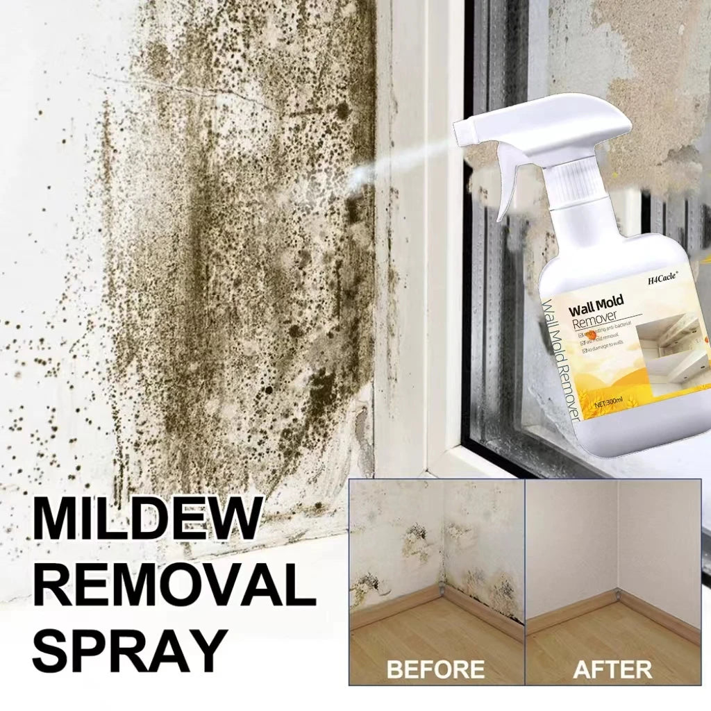 Mould Remover Spray