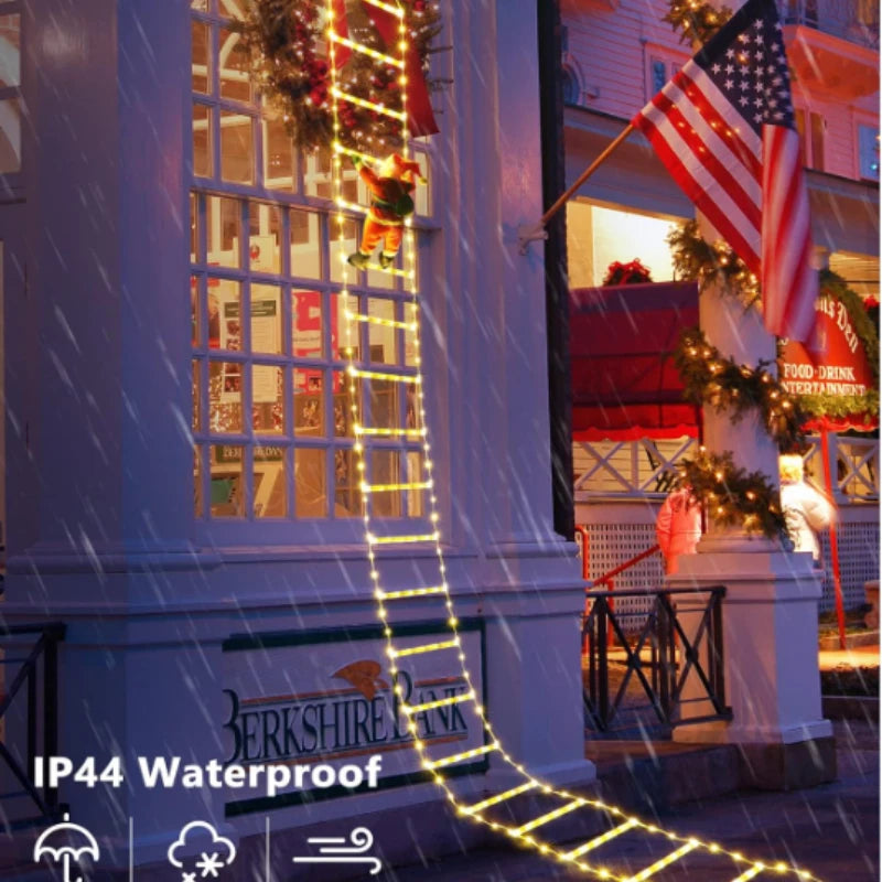 Santa Climbing Ladder