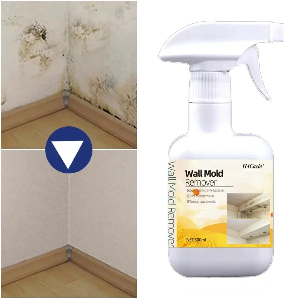 Mould Remover Spray