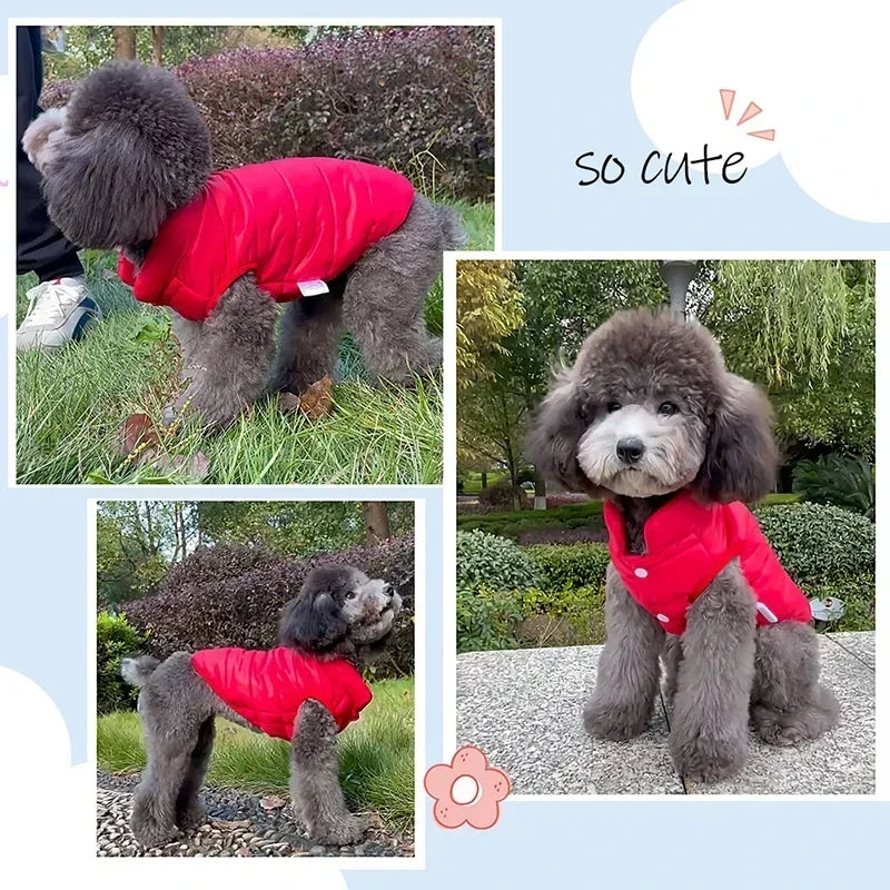 Dog Winter Coat