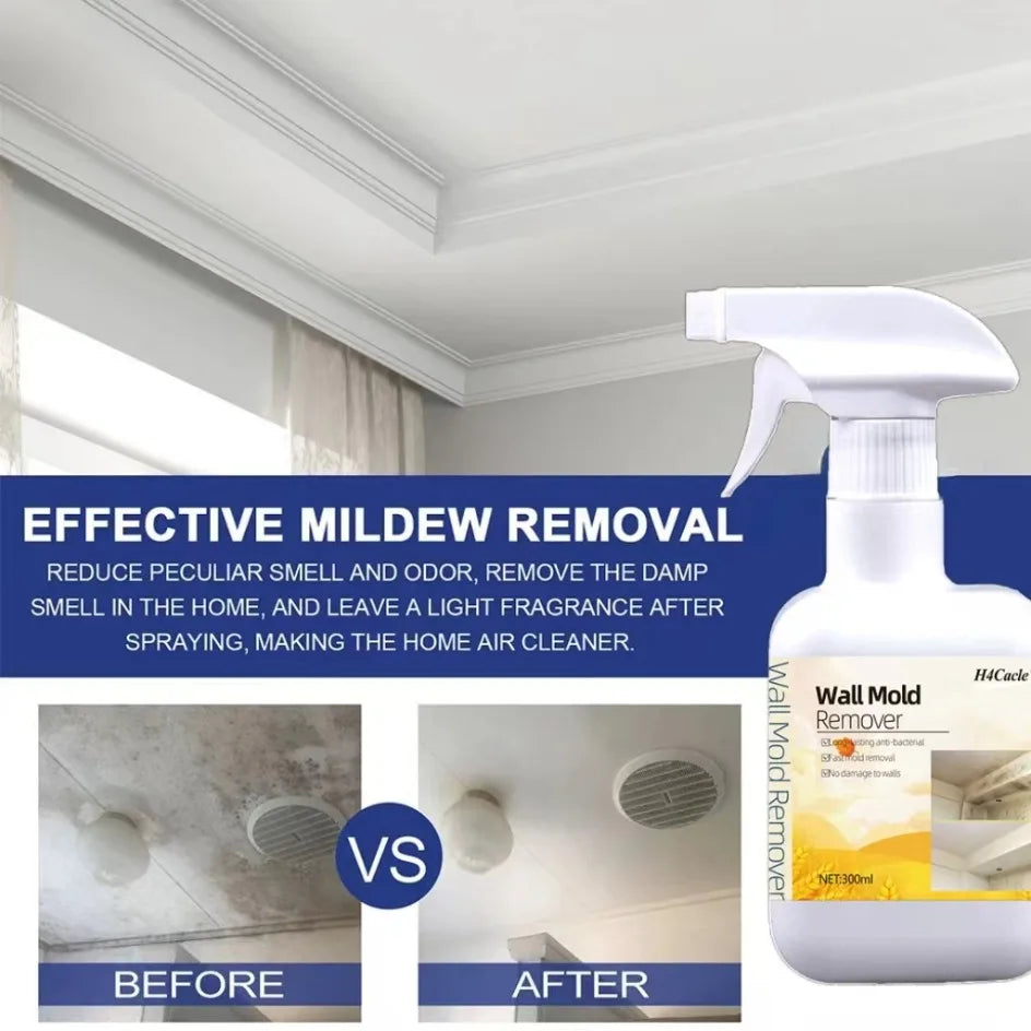 Mould Remover Spray