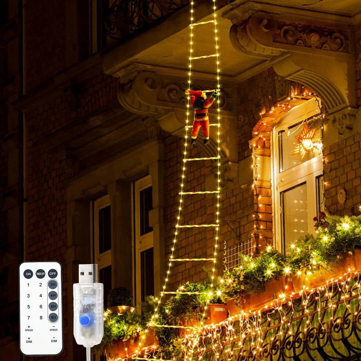 Santa Climbing Ladder